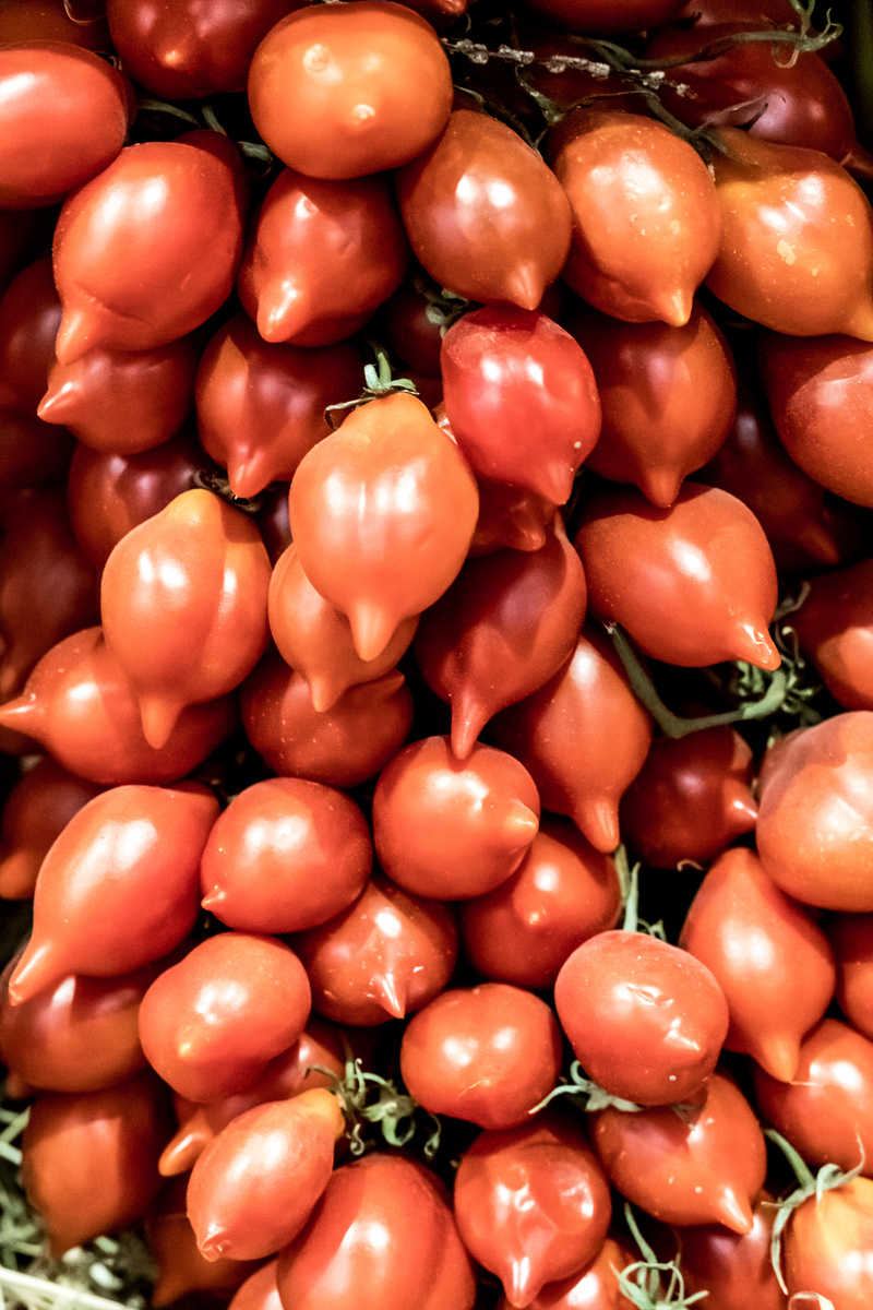 Tomatoes pomodorino del Piennolo del Vesuvio